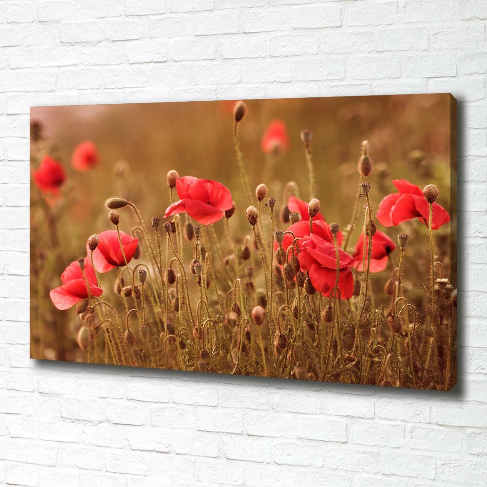 Tableau photo sur toile Triptyque Maki