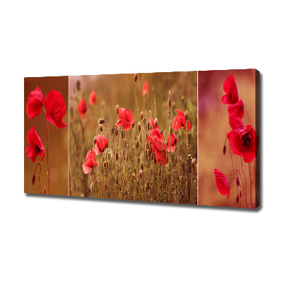 Tableau photo sur toile Triptyque Maki