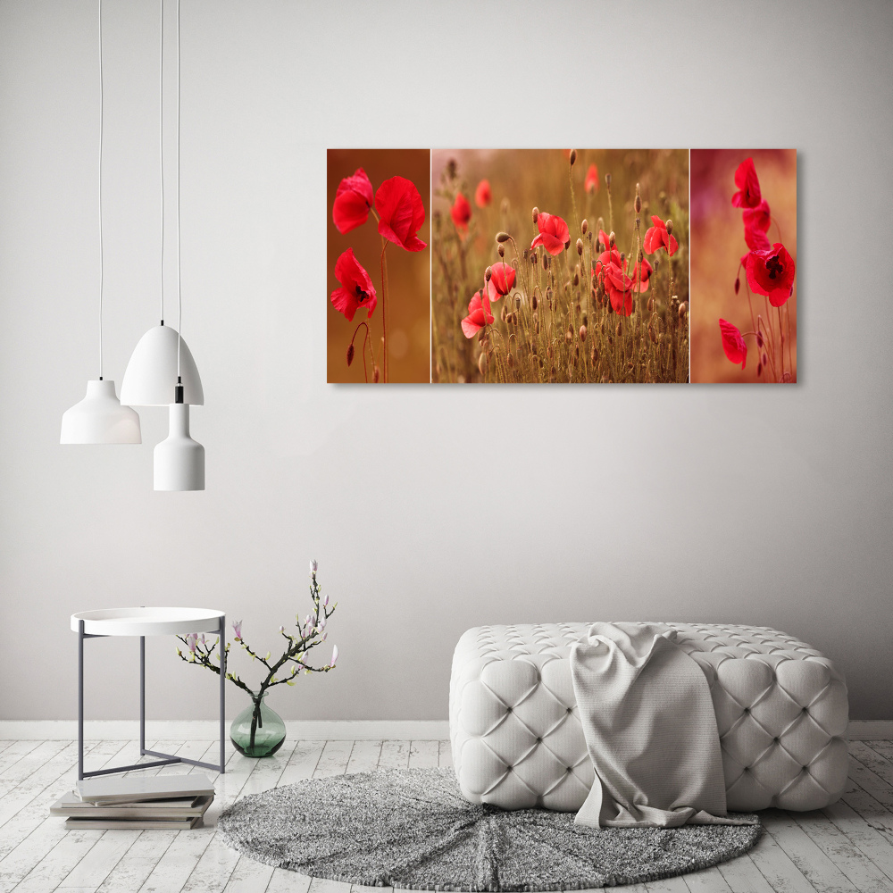 Tableau photo sur toile Triptyque Maki