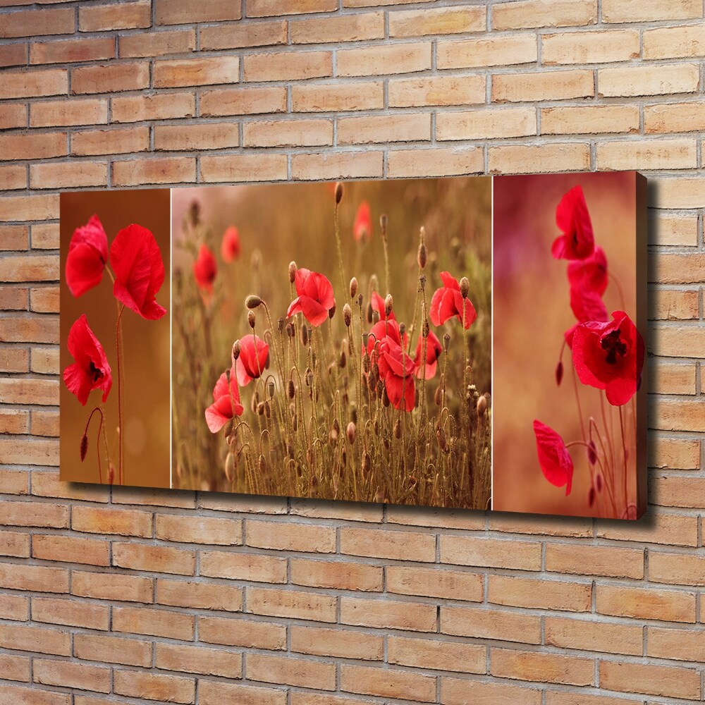 Tableau photo sur toile Triptyque Maki