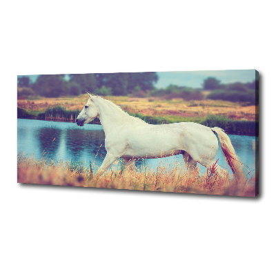 Tableau mural sur toile Cheval blanc lac