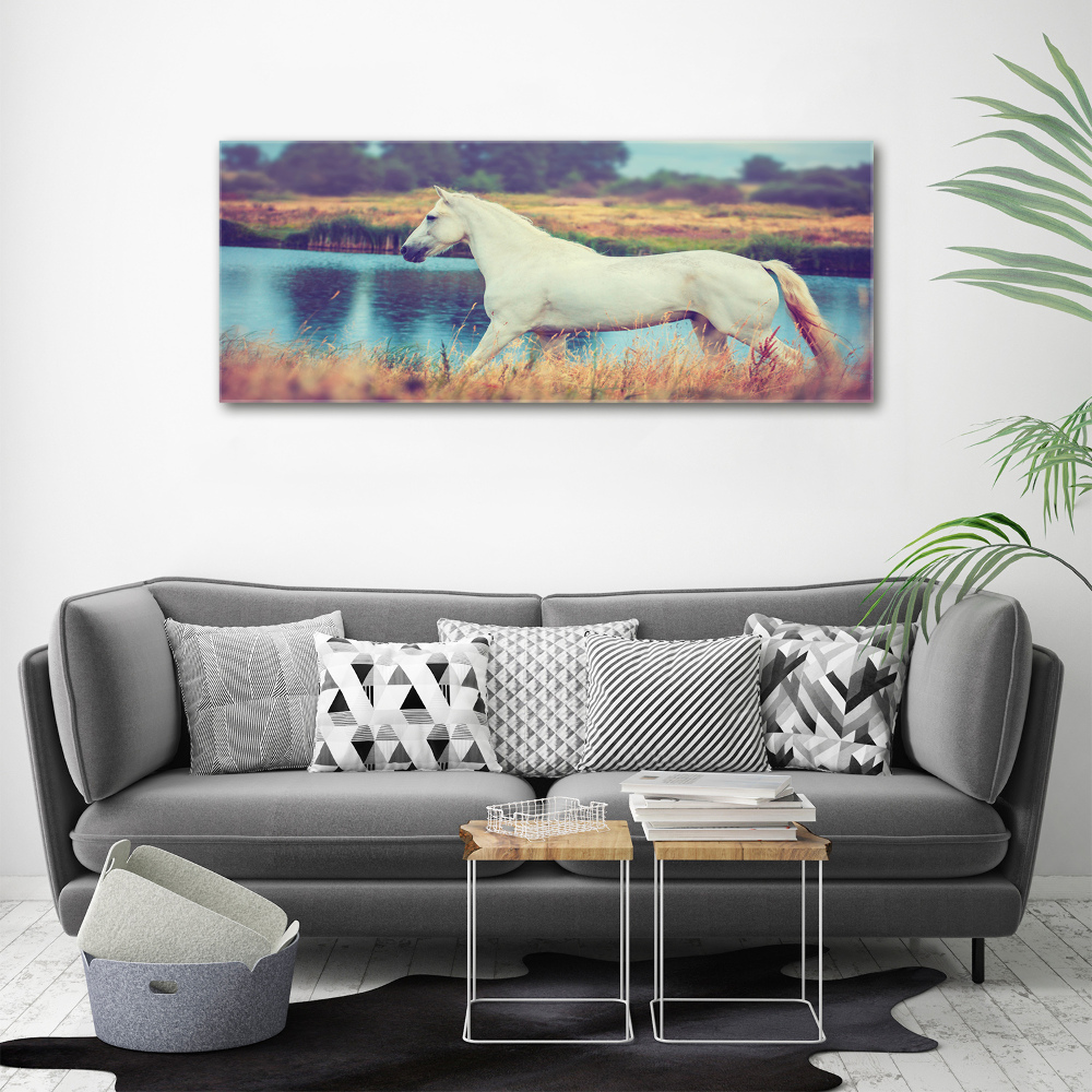 Tableau mural sur toile Cheval blanc lac