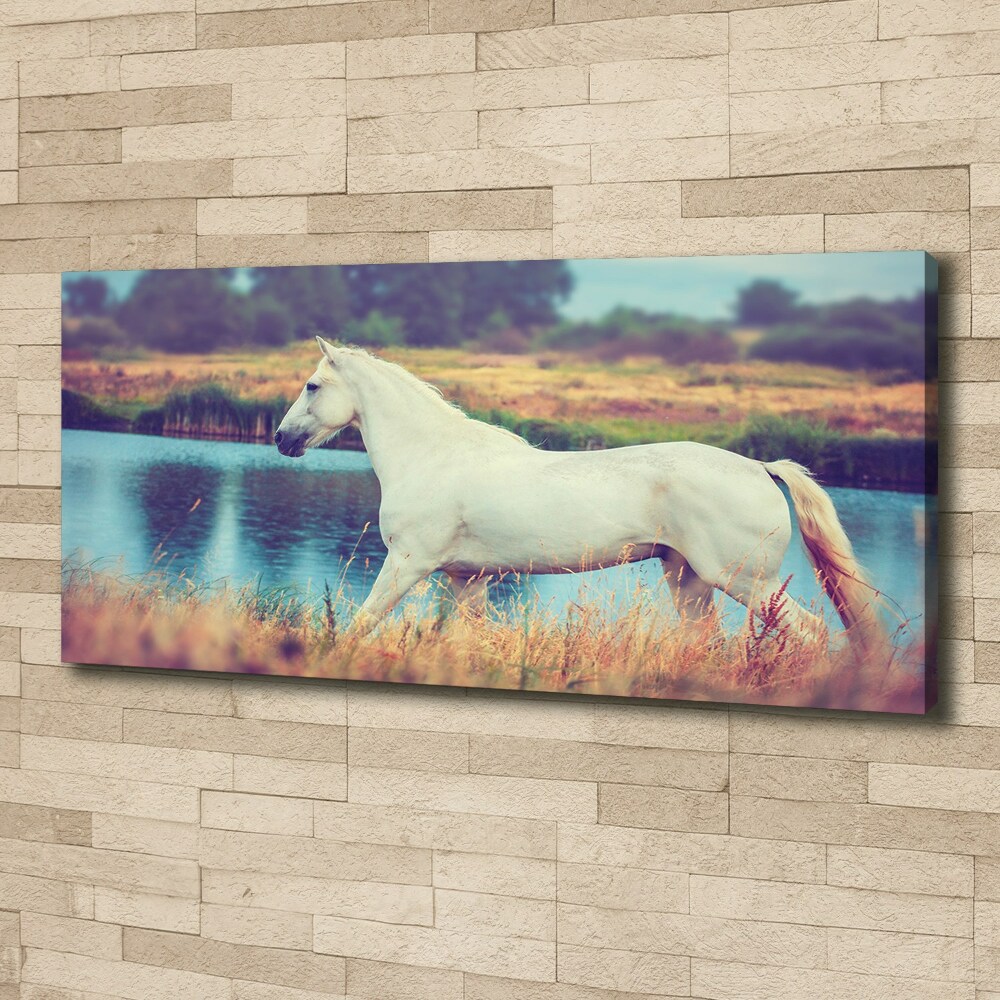 Tableau mural sur toile Cheval blanc lac