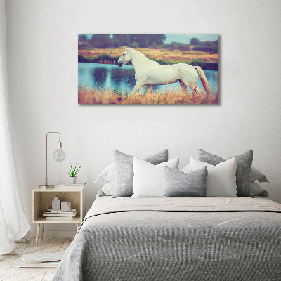 Tableau mural sur toile Cheval blanc lac