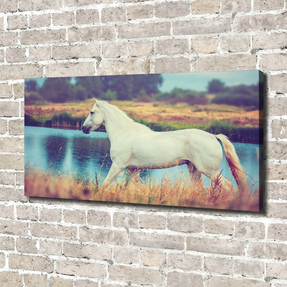 Tableau mural sur toile Cheval blanc lac