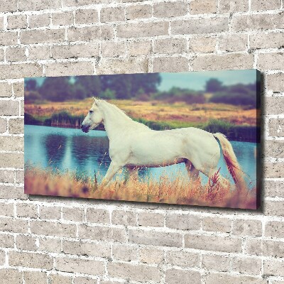 Tableau mural sur toile Cheval blanc lac