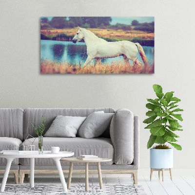 Tableau mural sur toile Cheval blanc lac