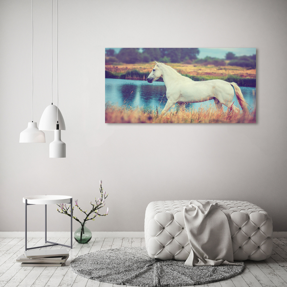 Tableau mural sur toile Cheval blanc lac