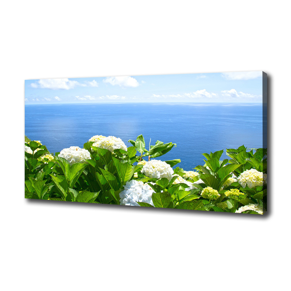 Tableau photo sur toile Fleurs au bord de la mer