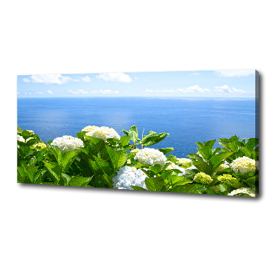 Tableau photo sur toile Fleurs au bord de la mer