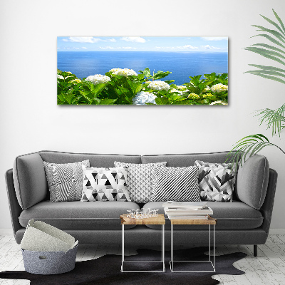 Tableau photo sur toile Fleurs au bord de la mer