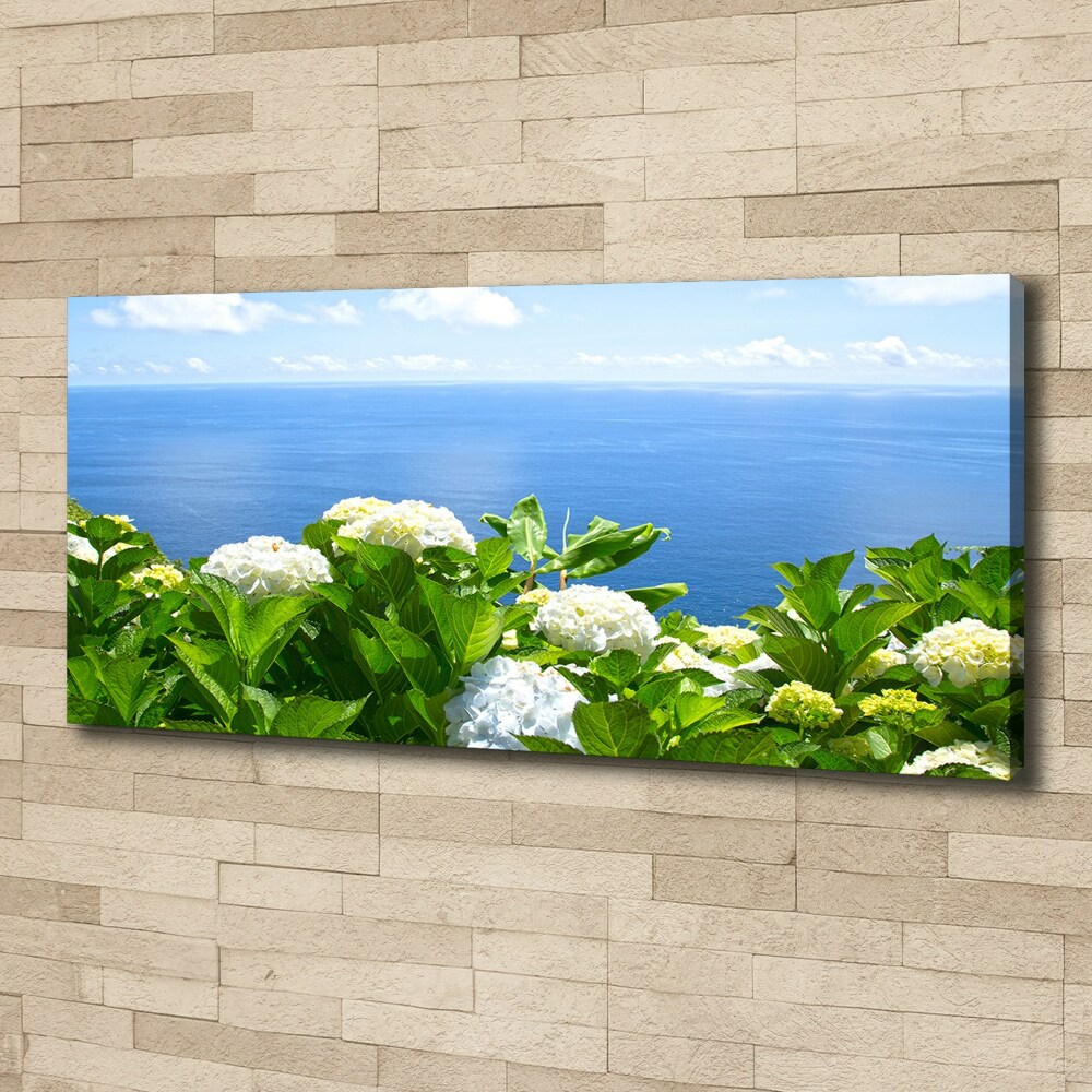 Tableau photo sur toile Fleurs au bord de la mer