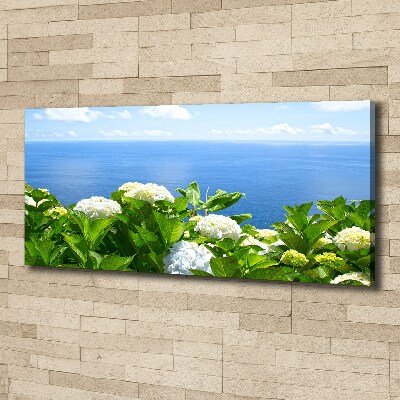 Tableau photo sur toile Fleurs au bord de la mer