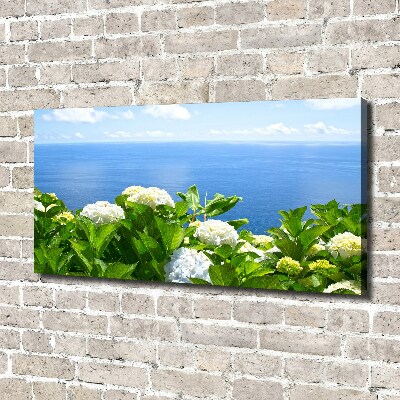 Tableau photo sur toile Fleurs au bord de la mer