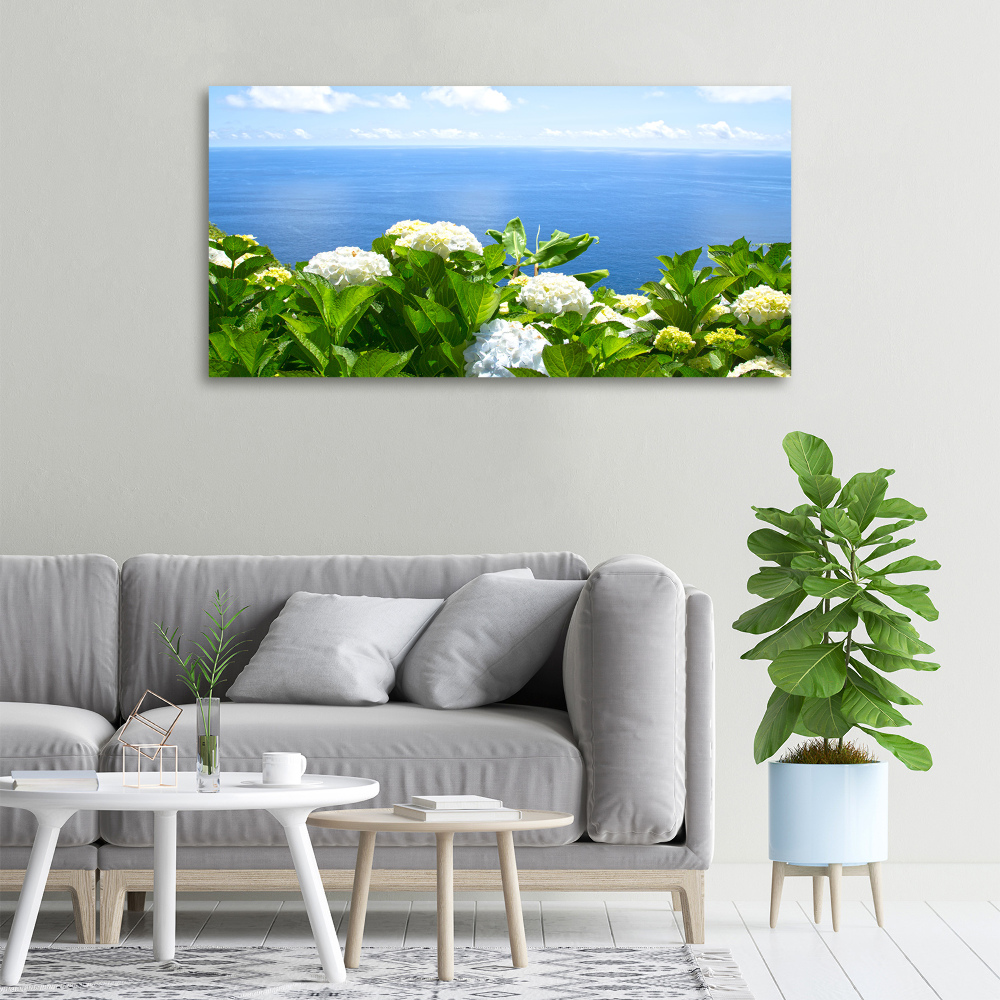 Tableau photo sur toile Fleurs au bord de la mer