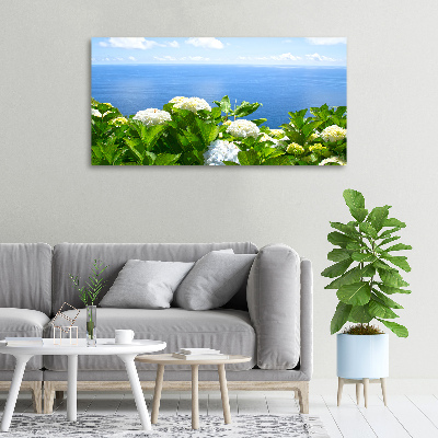 Tableau photo sur toile Fleurs au bord de la mer