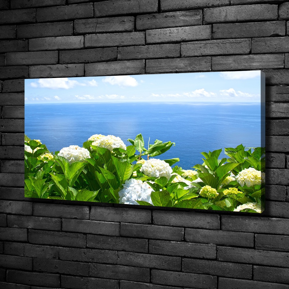 Tableau photo sur toile Fleurs au bord de la mer