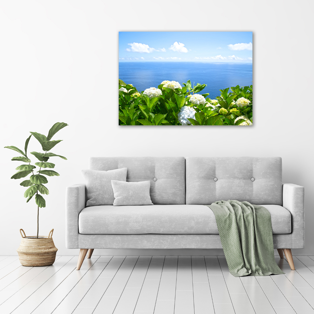 Tableau photo sur toile Fleurs au bord de la mer