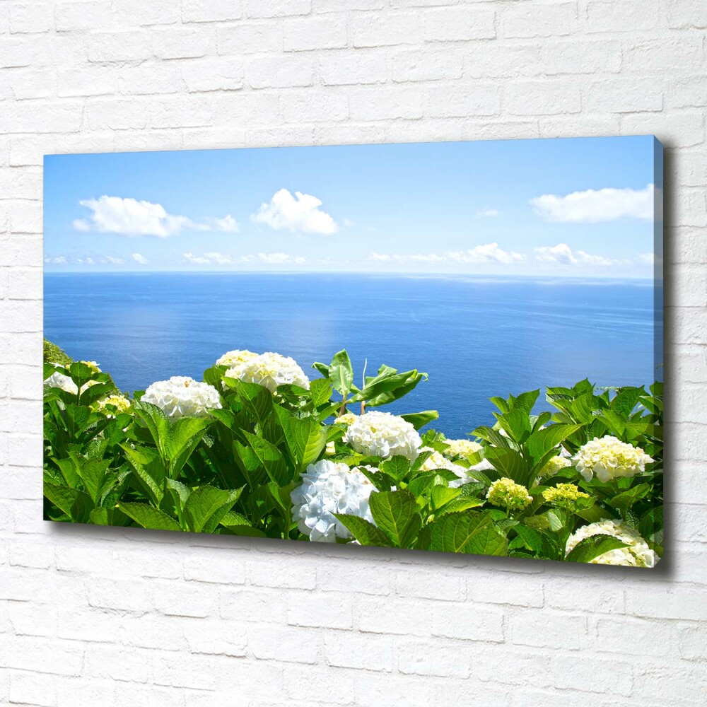 Tableau photo sur toile Fleurs au bord de la mer