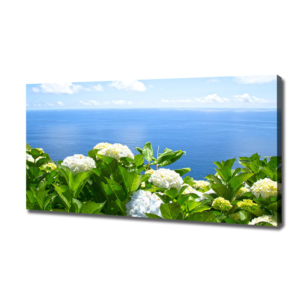 Tableau photo sur toile Fleurs au bord de la mer