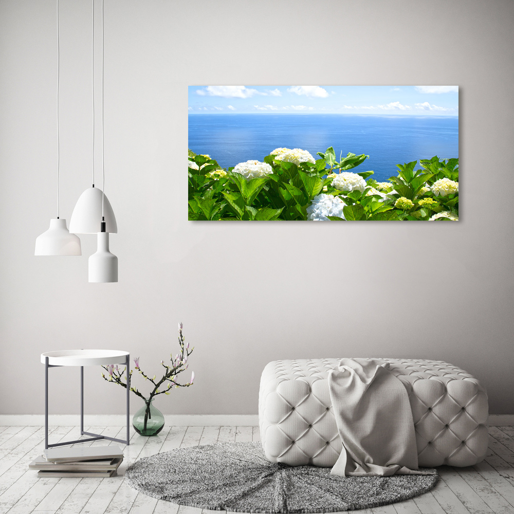 Tableau photo sur toile Fleurs au bord de la mer