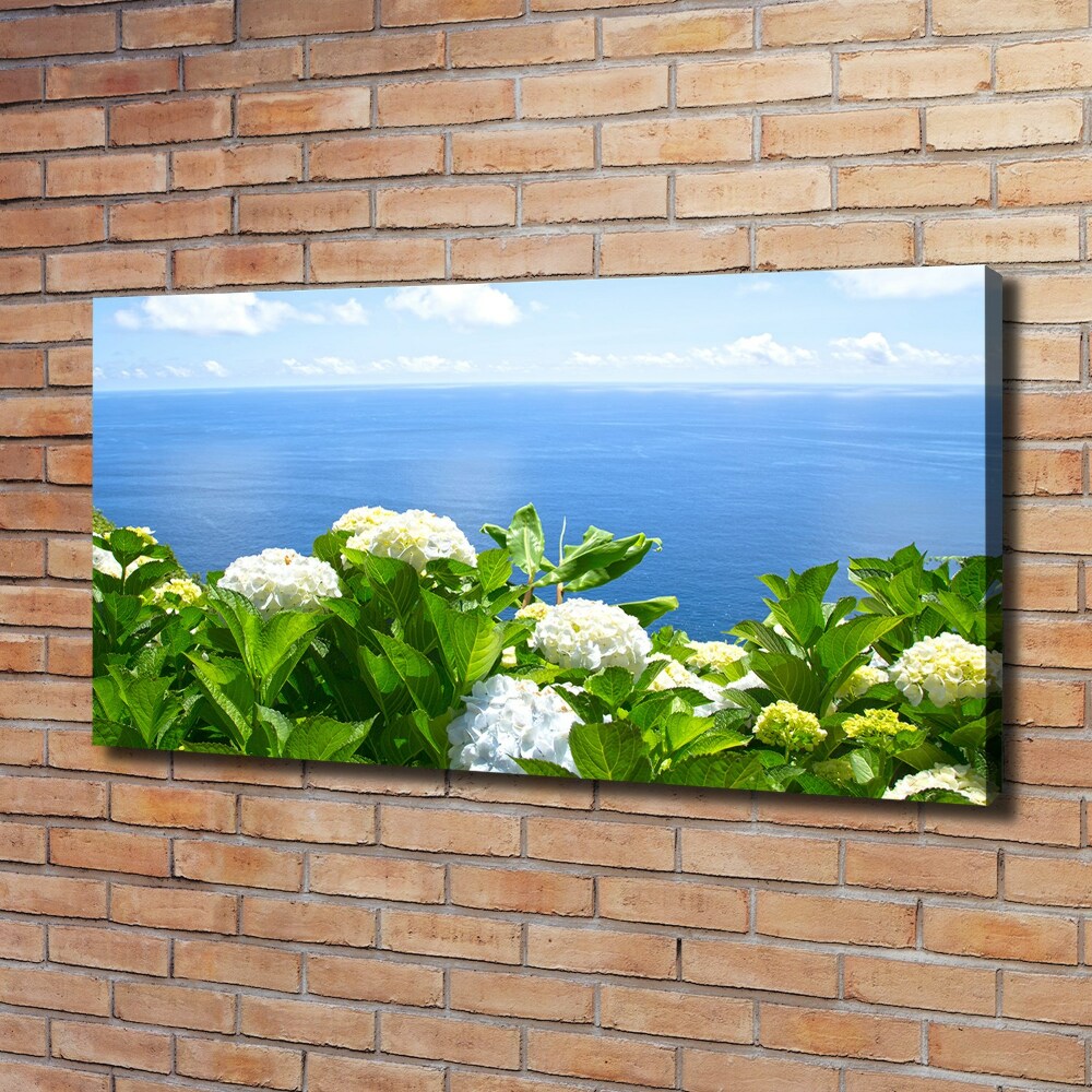 Tableau photo sur toile Fleurs au bord de la mer