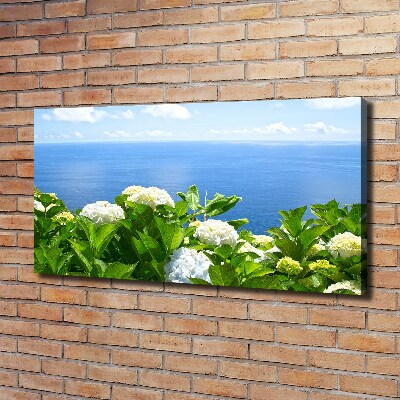 Tableau photo sur toile Fleurs au bord de la mer