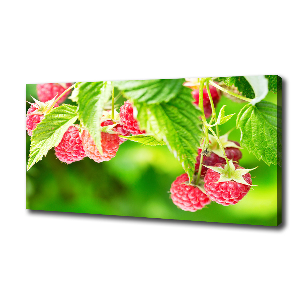 Tableau imprimé sur toile Framboises dans le jardin