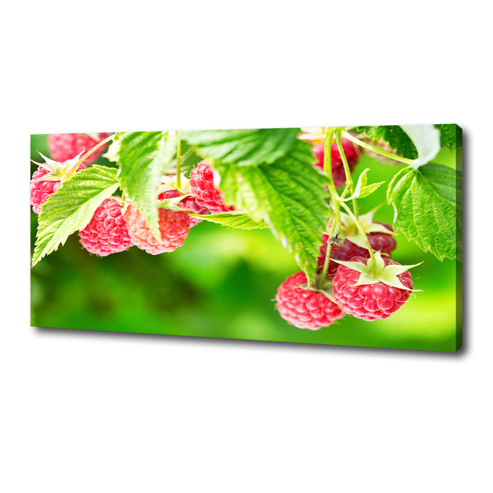 Tableau imprimé sur toile Framboises dans le jardin