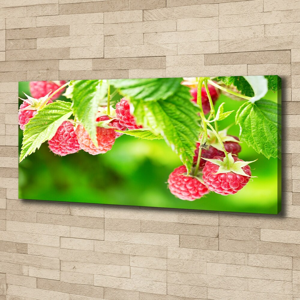 Tableau imprimé sur toile Framboises dans le jardin