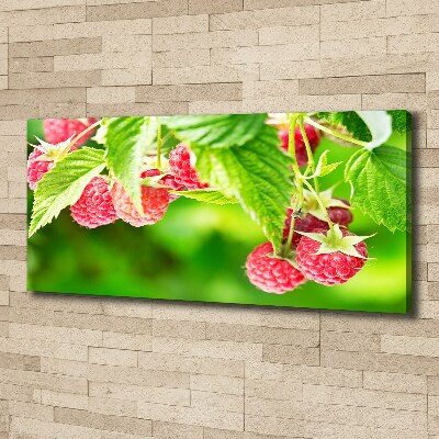 Tableau imprimé sur toile Framboises dans le jardin