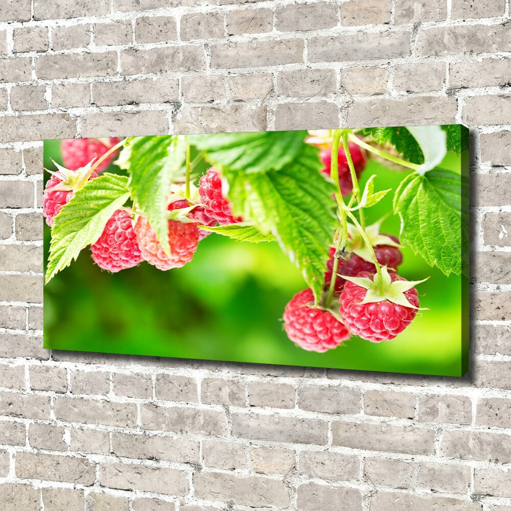 Tableau imprimé sur toile Framboises dans le jardin