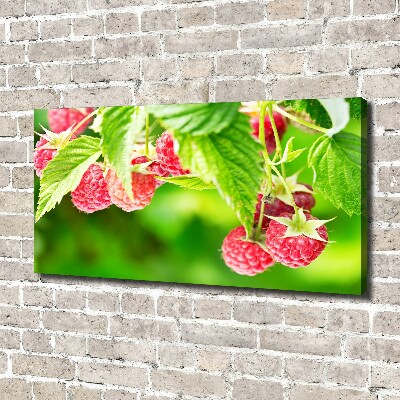 Tableau imprimé sur toile Framboises dans le jardin