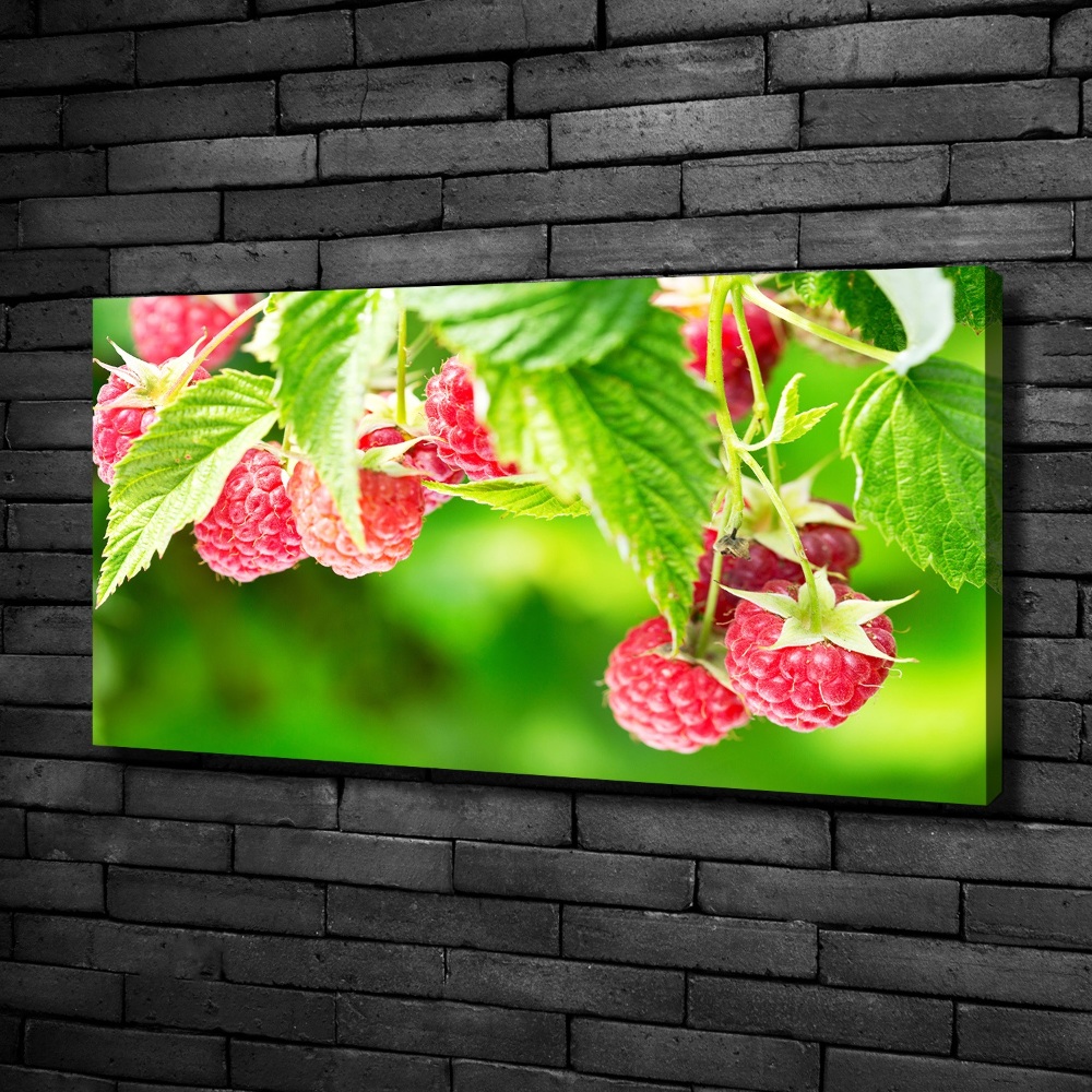 Tableau imprimé sur toile Framboises dans le jardin