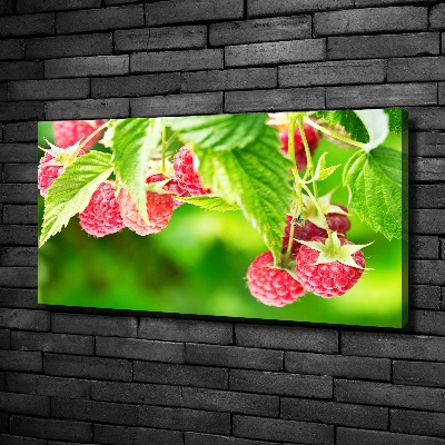 Tableau imprimé sur toile Framboises dans le jardin