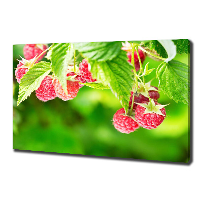 Tableau imprimé sur toile Framboises dans le jardin