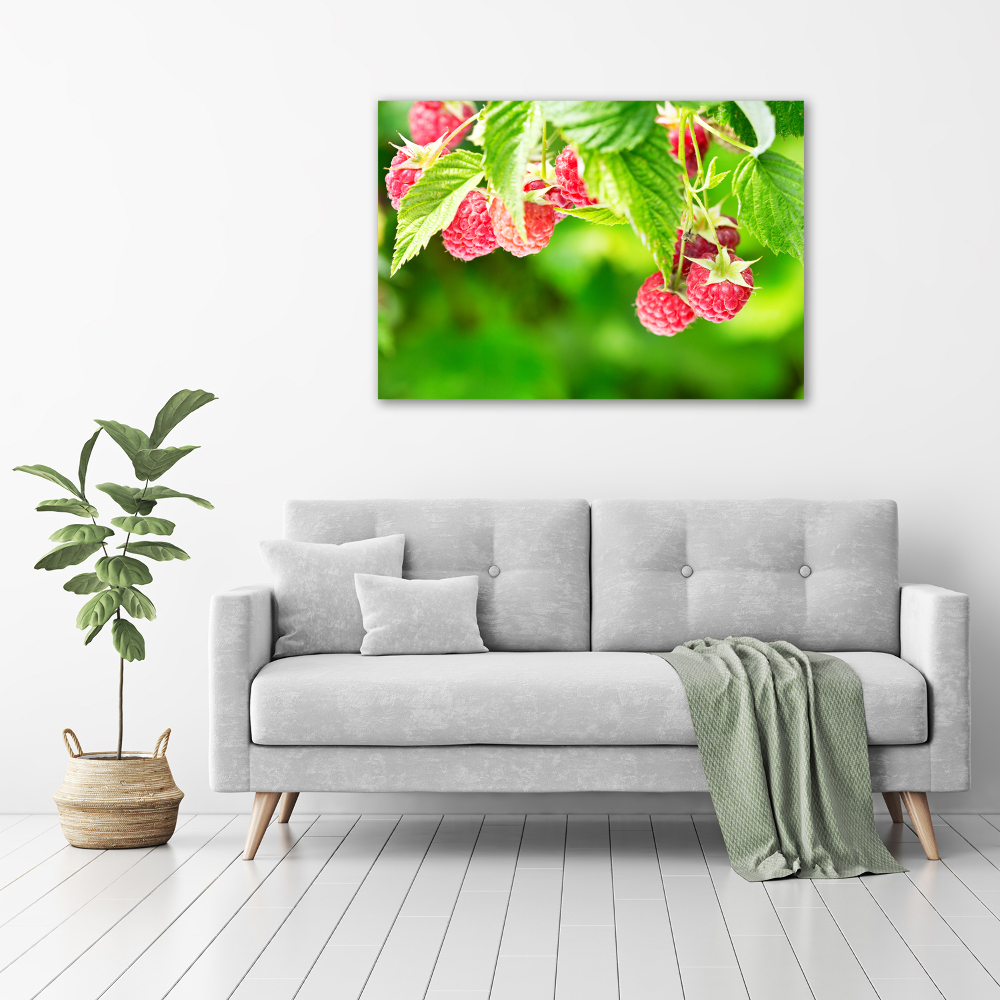 Tableau imprimé sur toile Framboises dans le jardin