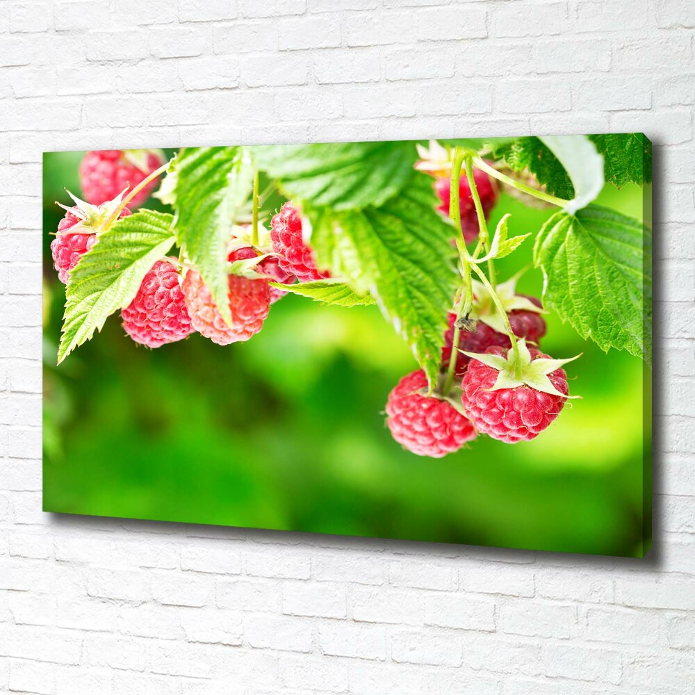 Tableau imprimé sur toile Framboises dans le jardin