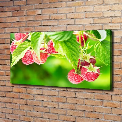 Tableau imprimé sur toile Framboises dans le jardin