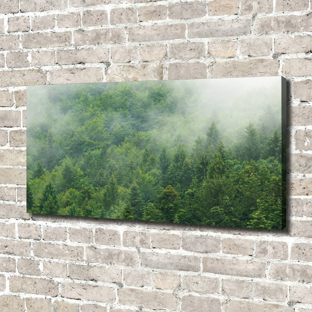 Tableau sur toile Forêt secrète