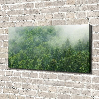 Tableau sur toile Forêt secrète