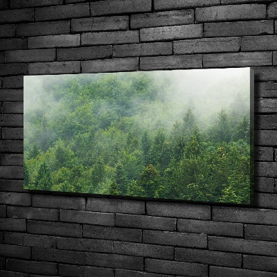 Tableau sur toile Forêt secrète