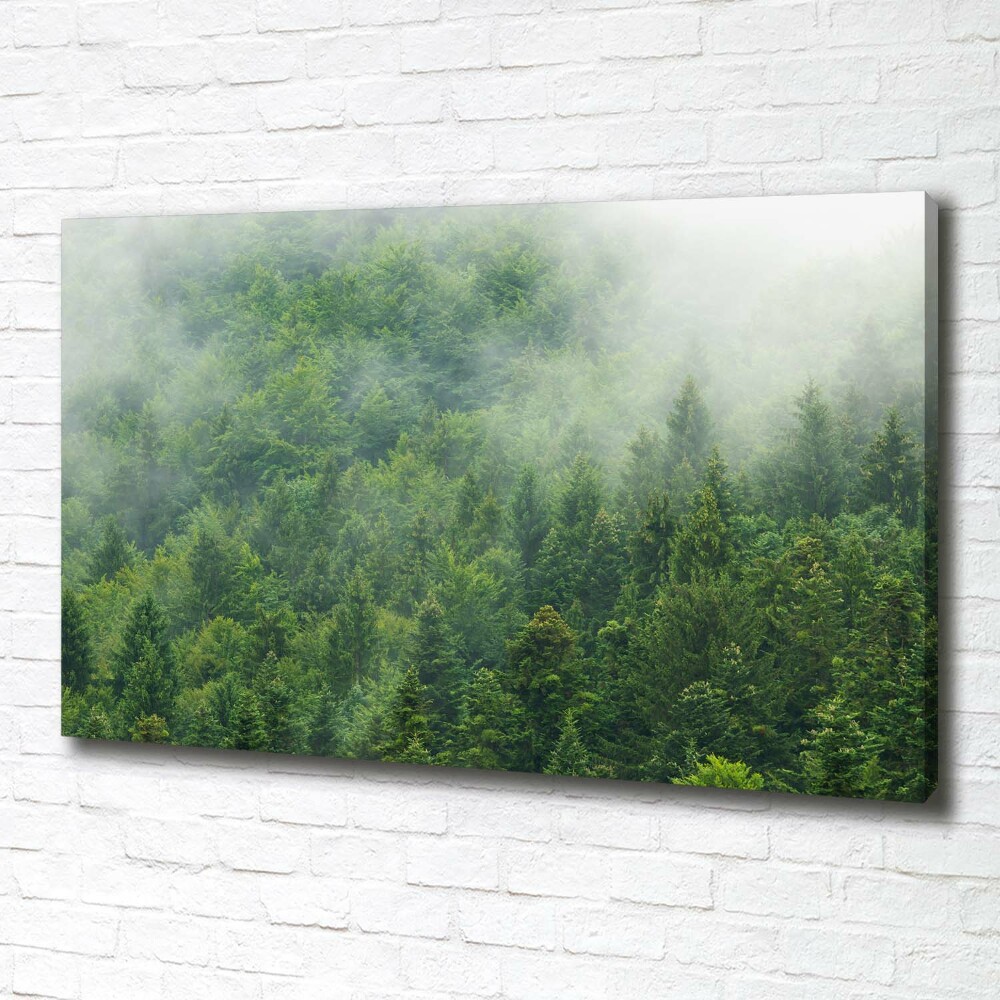 Tableau sur toile Forêt secrète