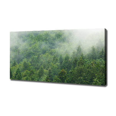 Tableau sur toile Forêt secrète