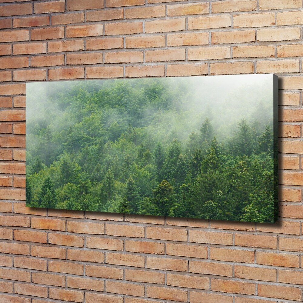 Tableau sur toile Forêt secrète