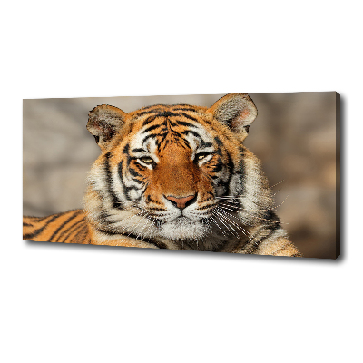 Tableau sur toile Tigre du Bengale