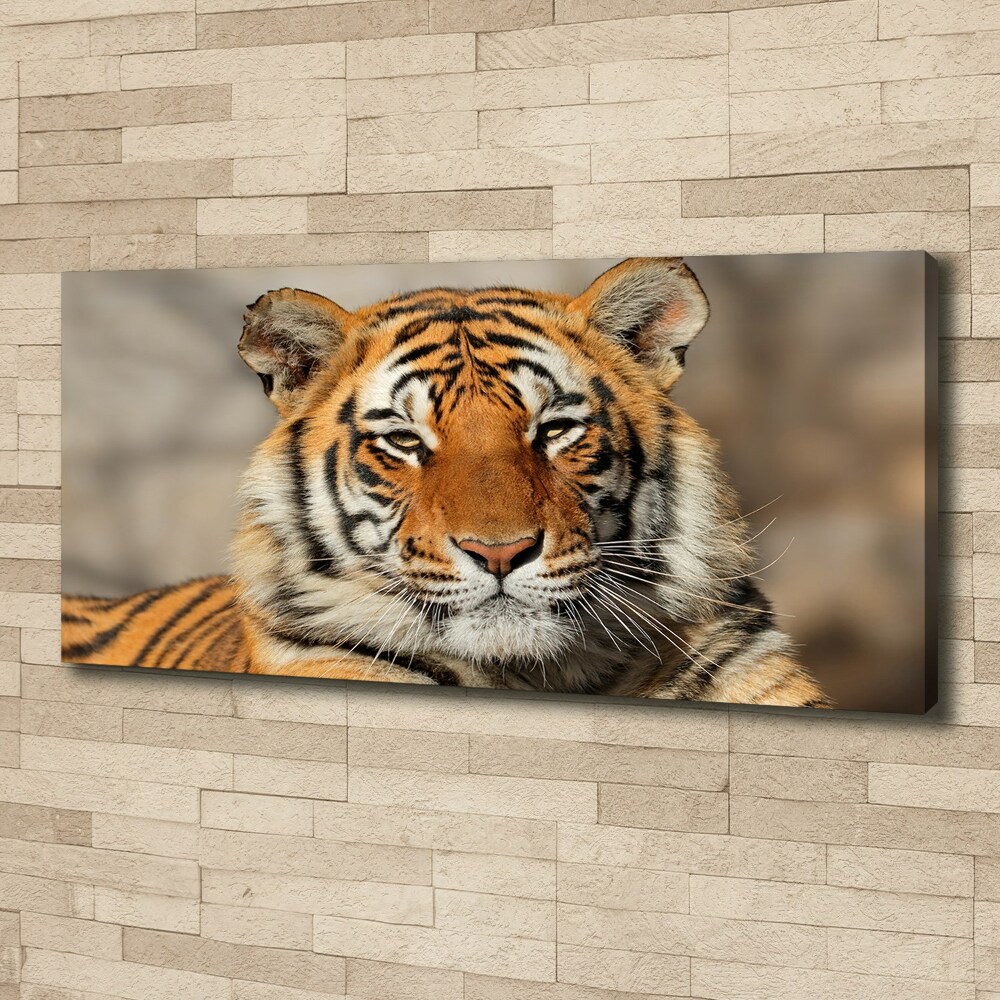 Tableau sur toile Tigre du Bengale