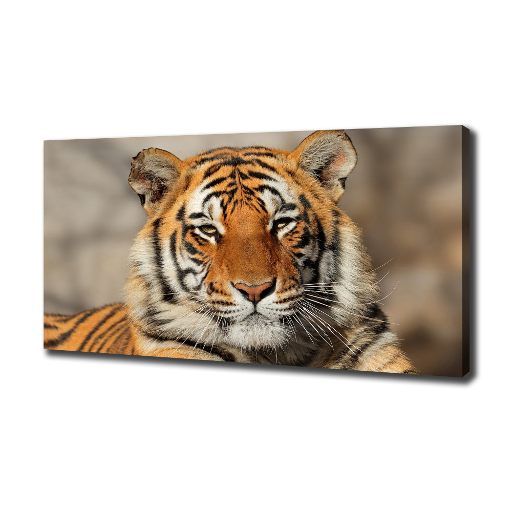 Tableau sur toile Tigre du Bengale