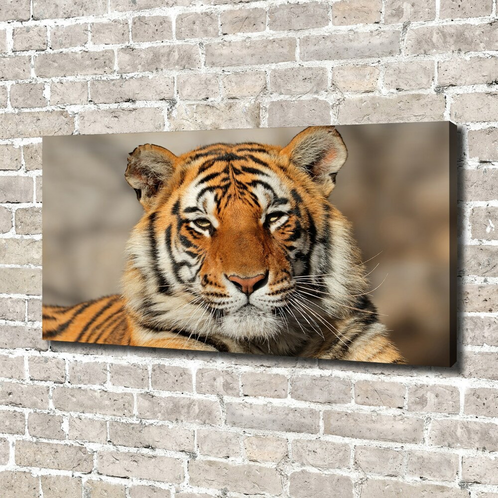 Tableau sur toile Tigre du Bengale