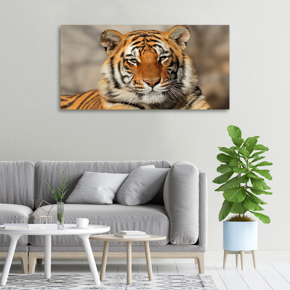 Tableau sur toile Tigre du Bengale